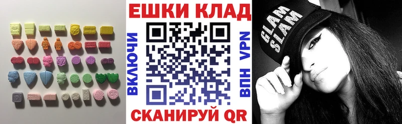 ЭКСТАЗИ TESLA Олонец