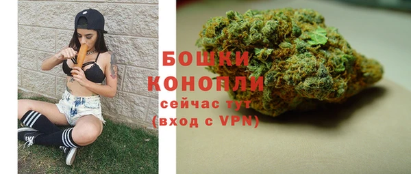 шишки Верея